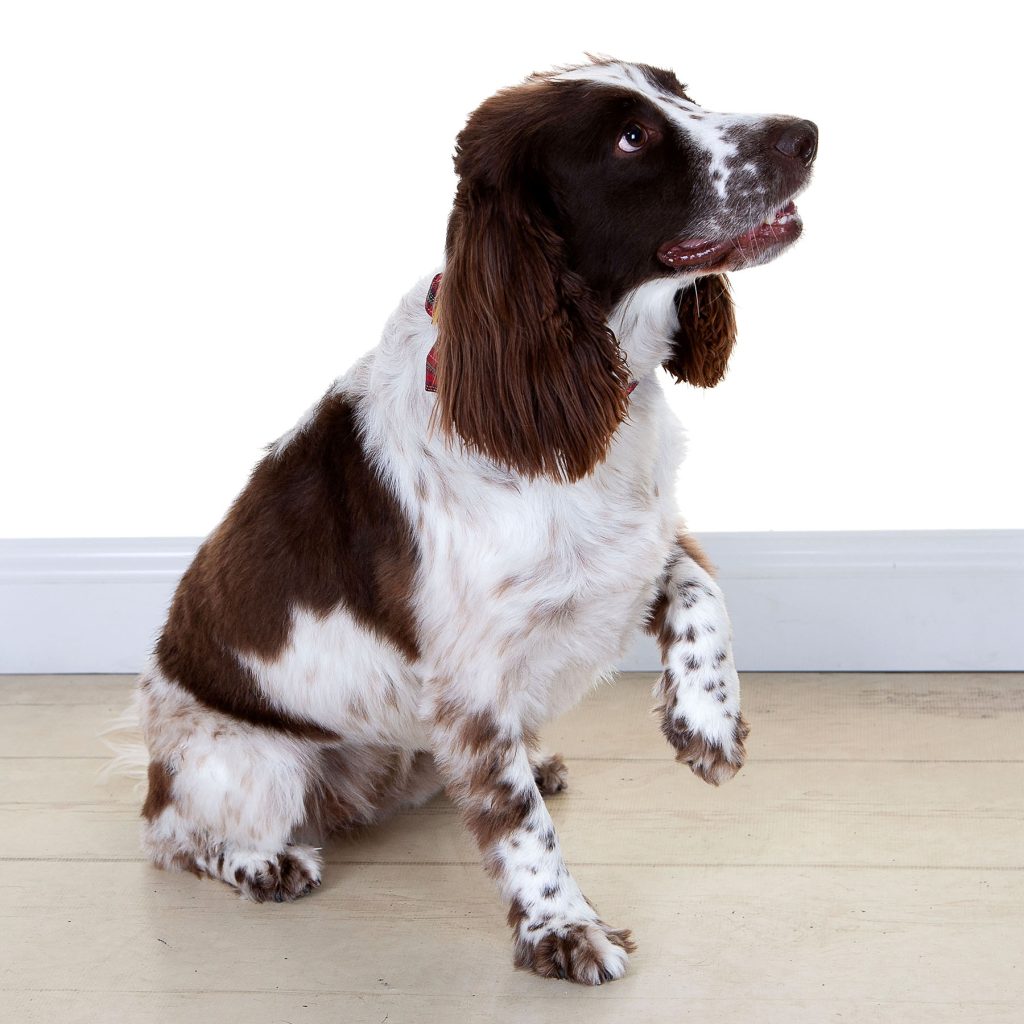 Gallery 2025 115 millie macintyre