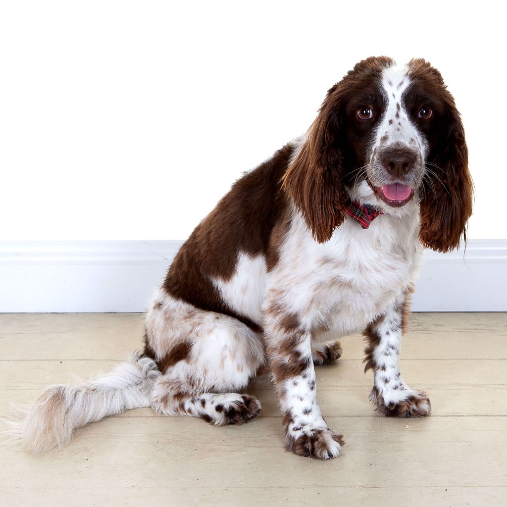 Gallery 2025 116 millie macintyre