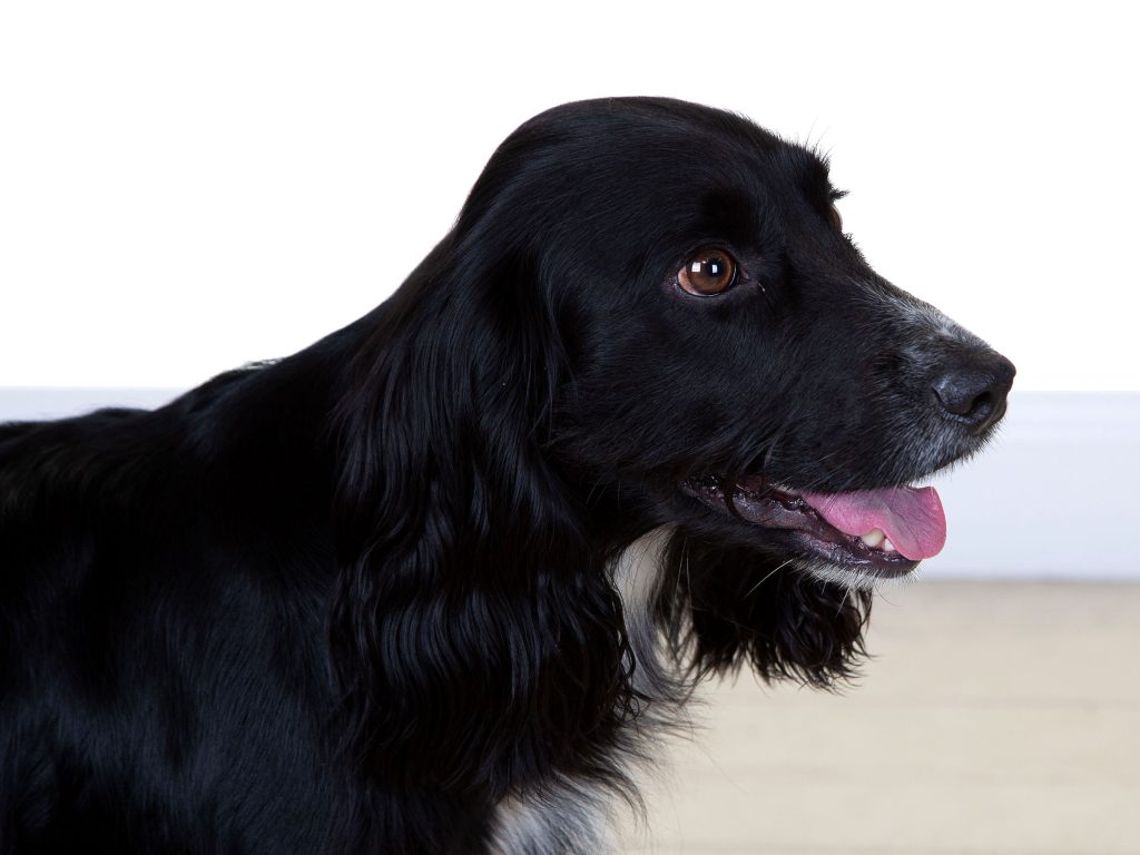 Gallery 2025 118 mollie rogerson