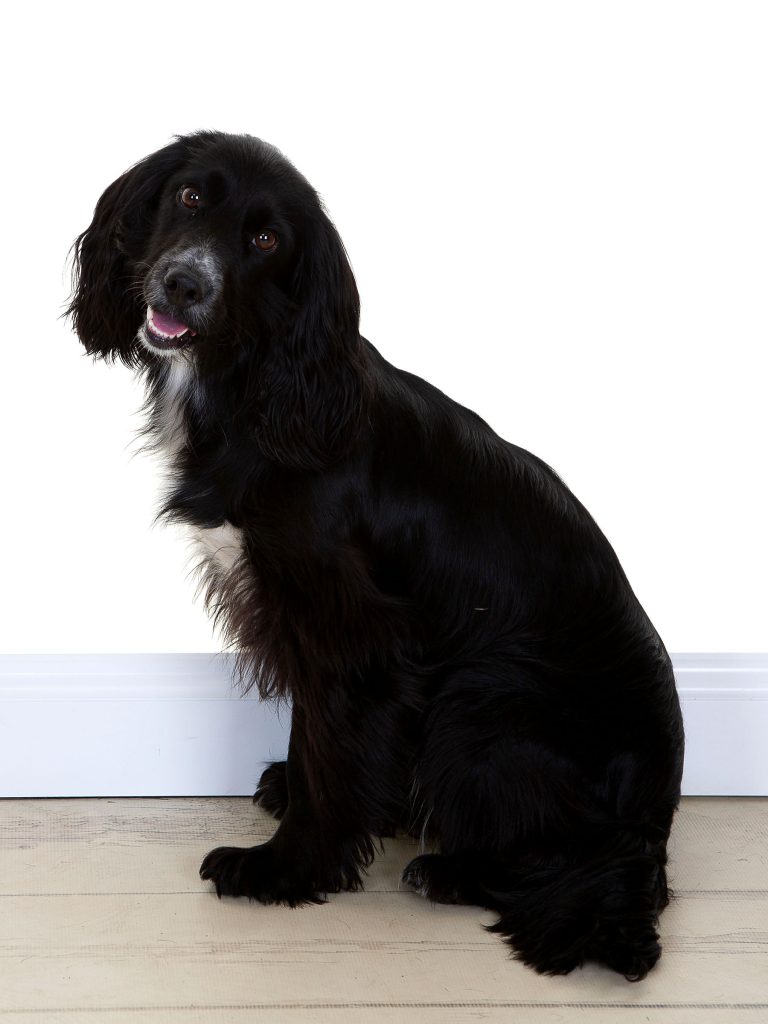 Gallery 2025 117 mollie rogerson