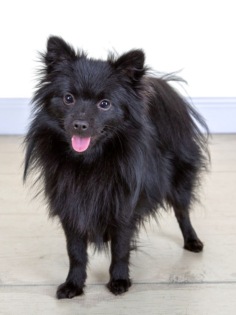 Gallery 2025 119 molly brotherton