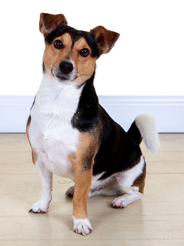 Gallery 2025 121 monty healy