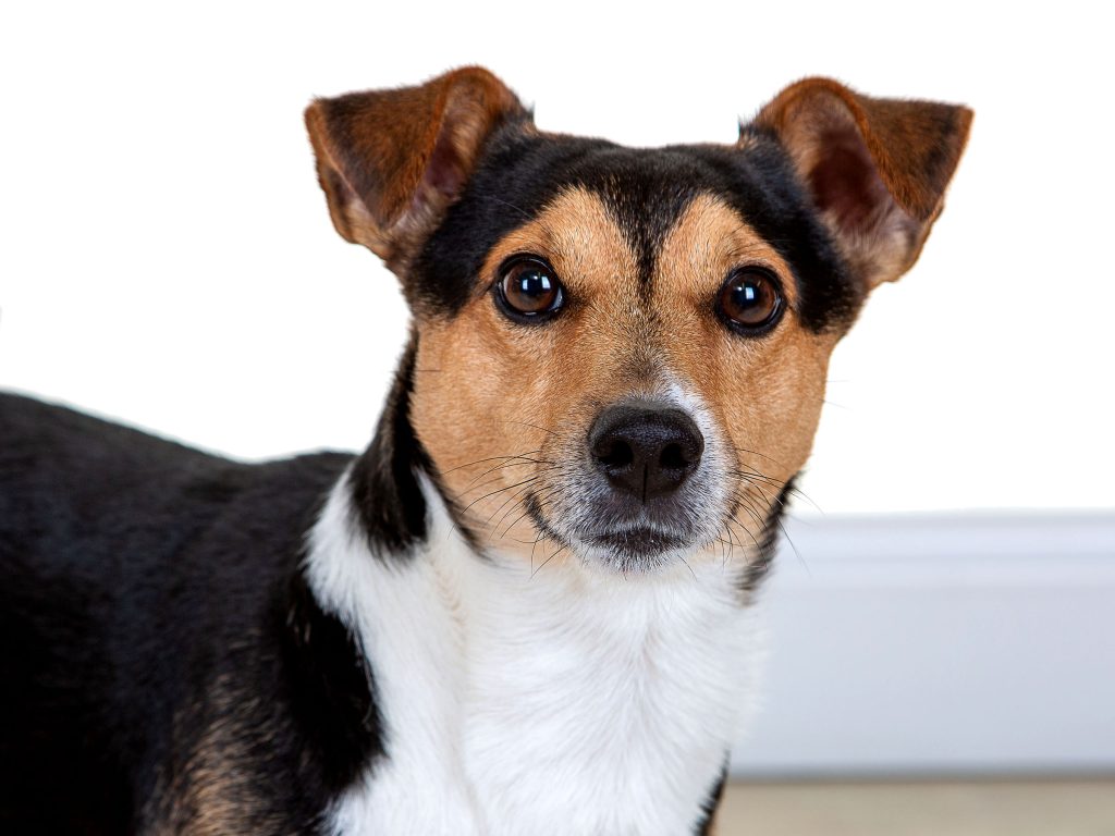 Gallery 2025 122 monty healy