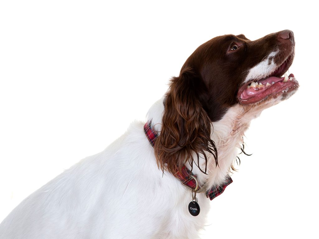 Gallery 2025 123 murphy macintyre