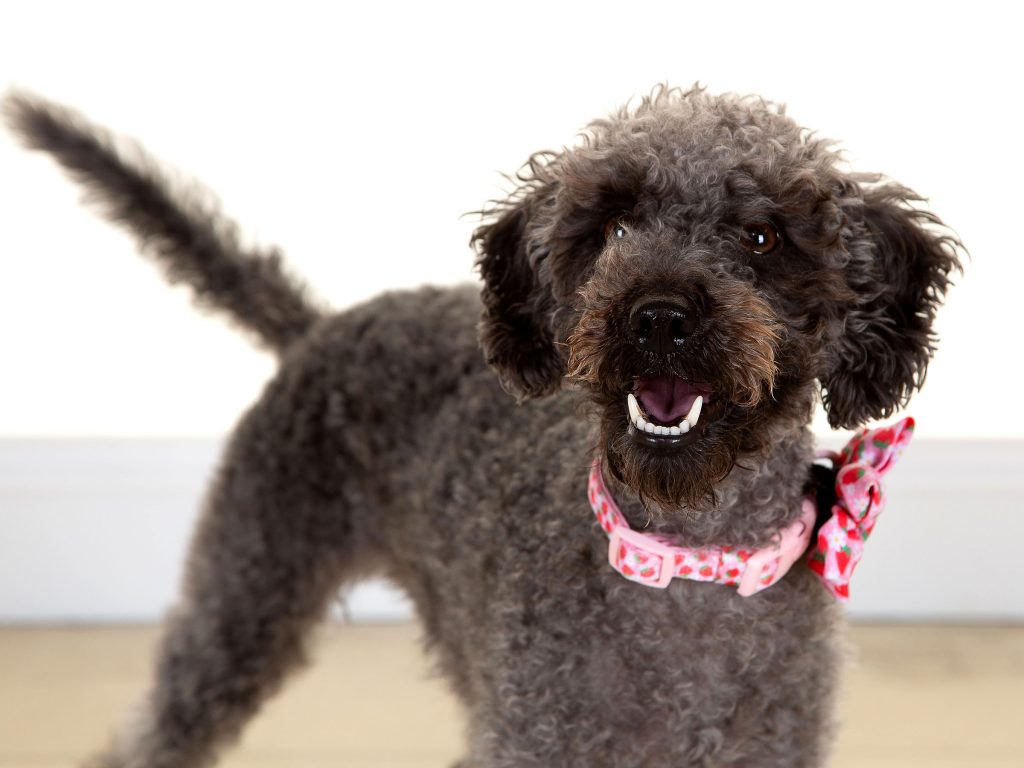 Gallery 2025 127 nellie erskine