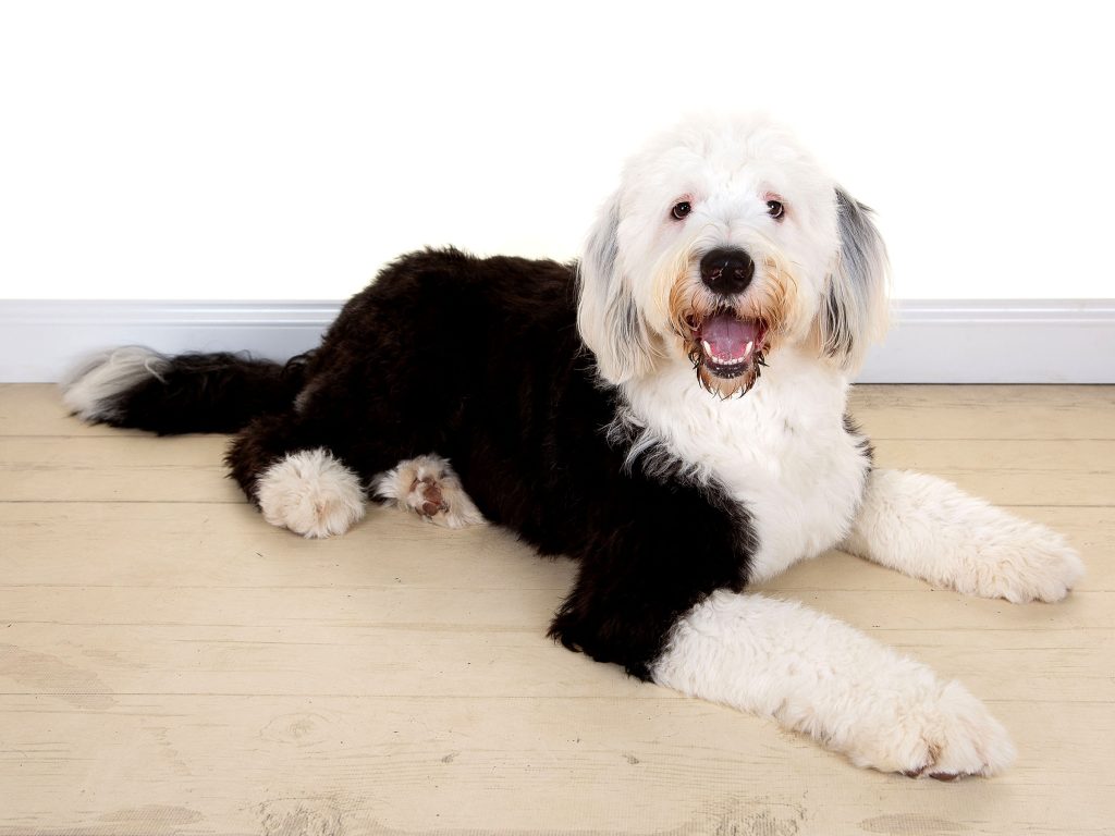 Gallery 2025 131 paddy donkin