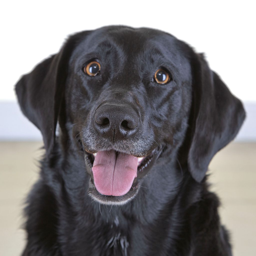 Gallery 2025 135 phoenix hilton