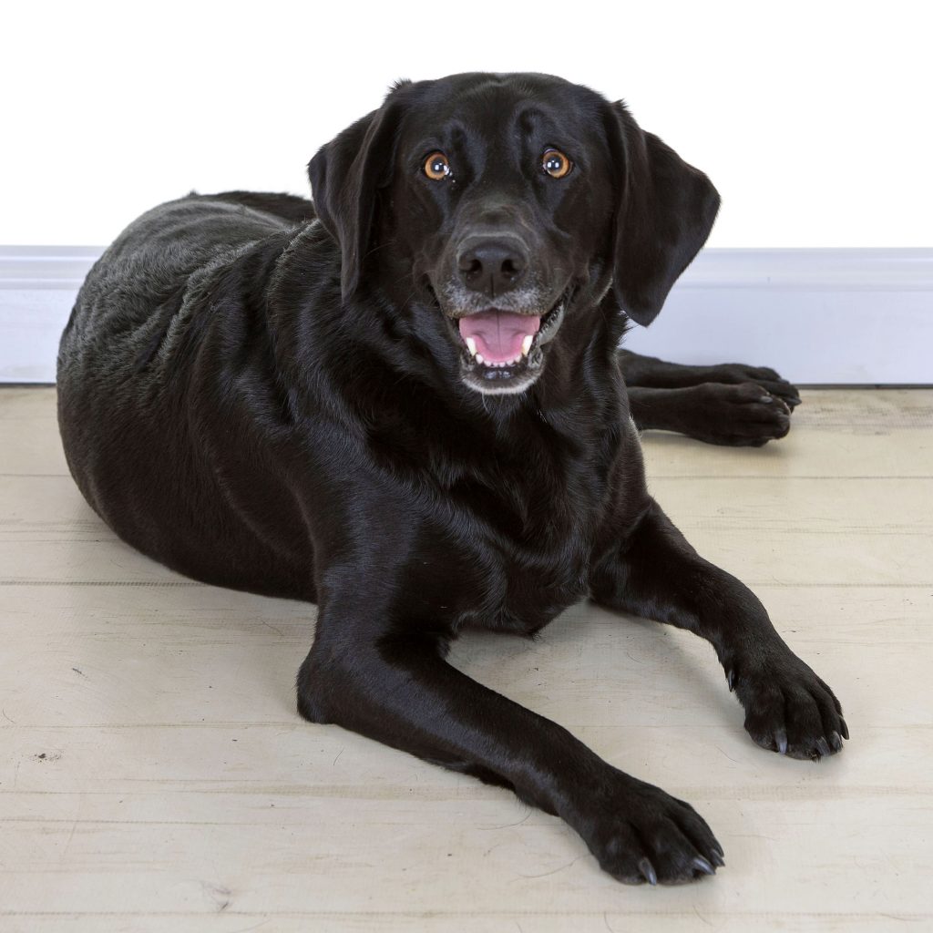 Gallery 2025 136 phoenix hilton