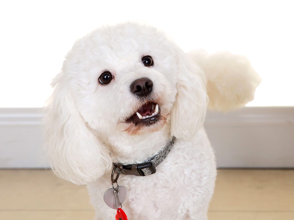 Gallery 2025 137 poppy castelow