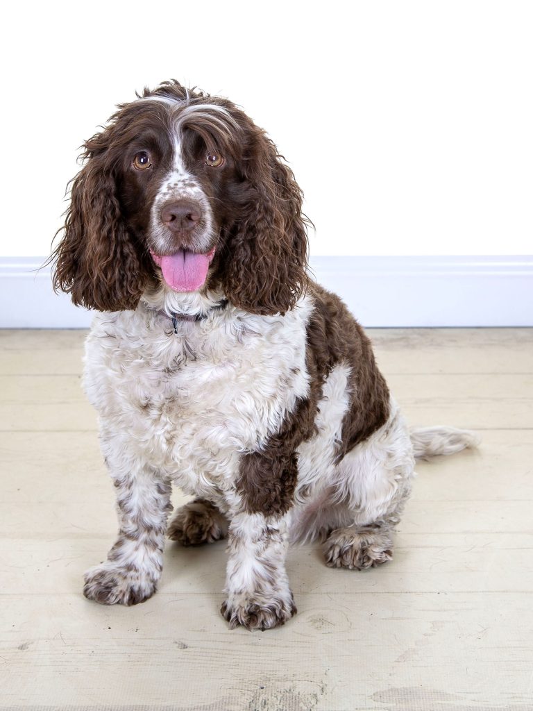 Gallery 2025 164 willow mehat