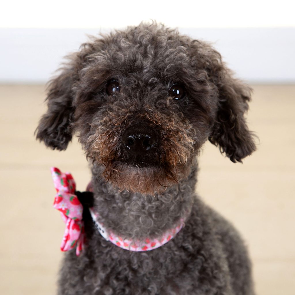 Gallery 2025 166 winnie erskine