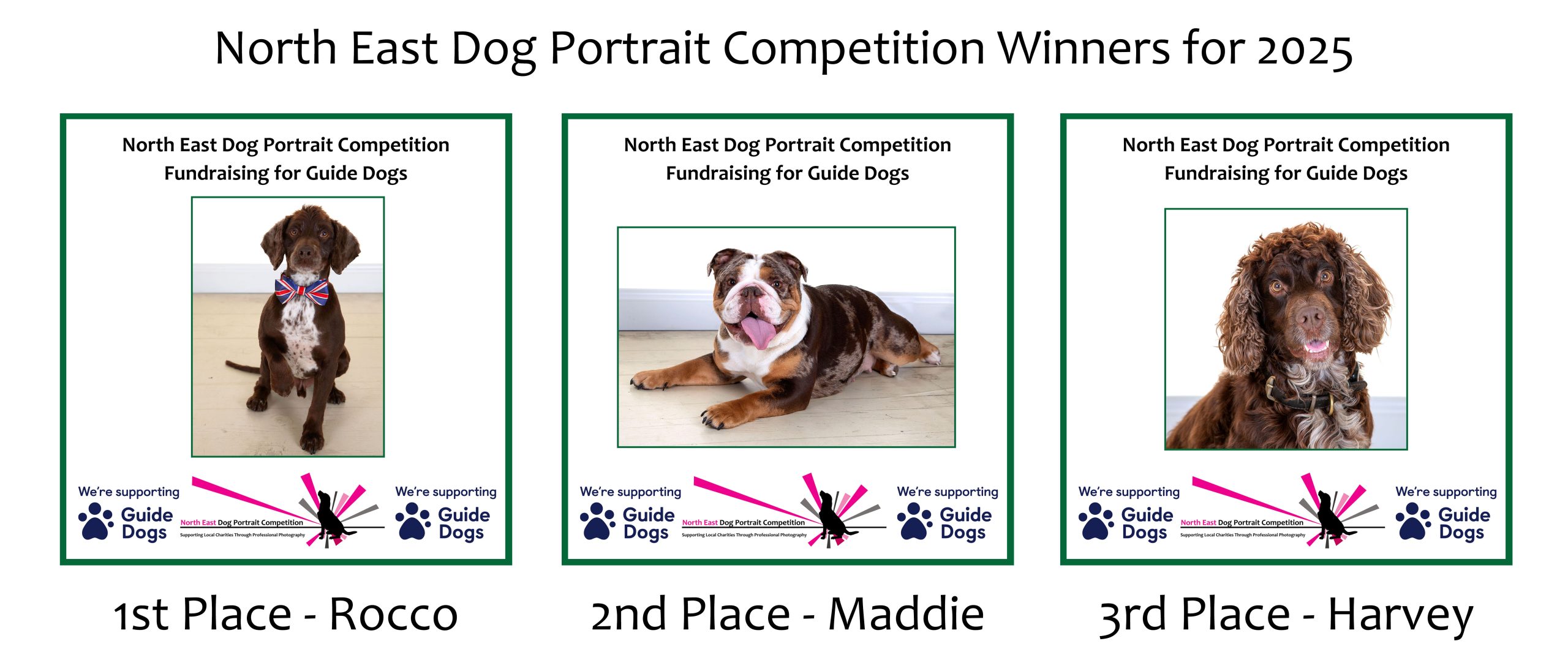 North East Dog Portait Winners 2025 1 scaled