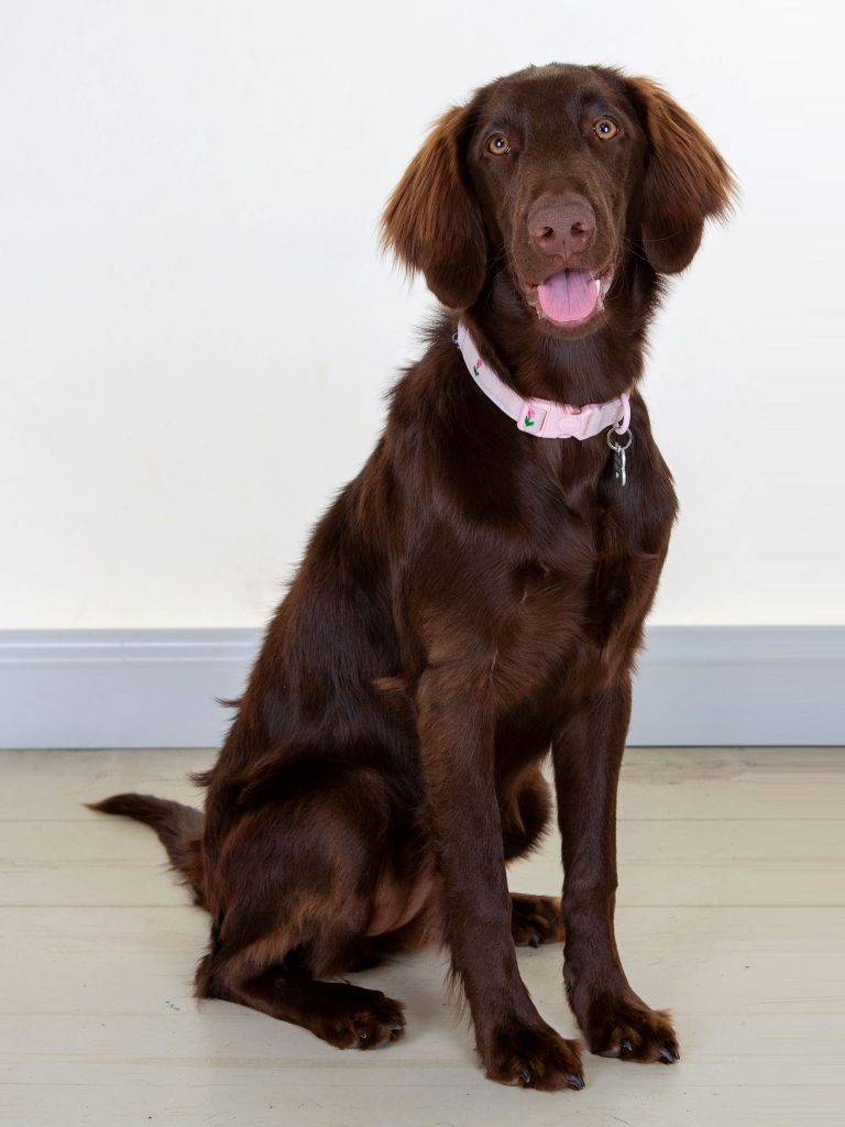 Gallery 2026 55 Coco todd (3)